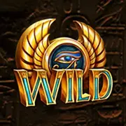 Wild-Symbol bei Cash Connection Book of Ra