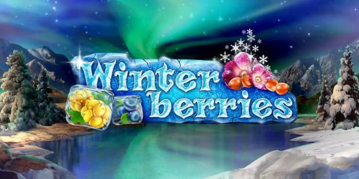 Teaserbild zu Winterberries