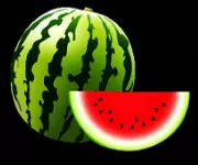 Melone auf schwarzem Hintergrund