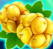 Symbol gelbe Beeren bei Winterberries