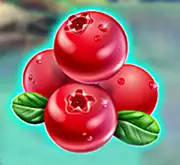 Symbol große rote Beeren bei Winterberries