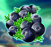 Symbol kleine blaue Beeren bei Winterberries