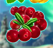 Symbol kleine rote Beeren bei Winterberries