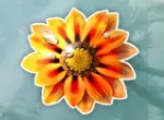 Orange Blume