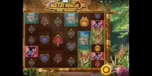 Der Slot Big Cat Rescue