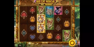 Zwei Tiger-Symbole beim Slot Big Cat Rescue