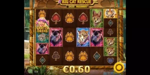 Gewinn von 60 Cent beim Slot Big Cat Rescue