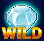 Wild-Schriftzug mit Diamant