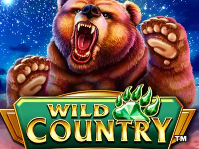 Ein mächtiger Bär in der Wildnis über dem Wild Country Schriftzug
