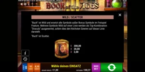 Wild-Scatter bei Book of the Ages
