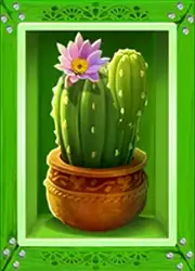 Symbol Kaktus bei Chili Bomba