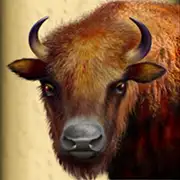 Symbol Bison bei Eagle Bucks