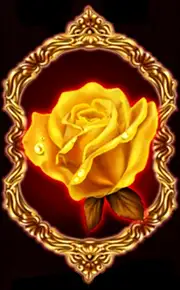 Symbol Rose bei Flamenco Roses