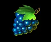 Symbol Trauben bei Früchteparadies 10