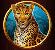 Symbol Leopard bei Great Warrior