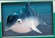 Symbol Delfin bei Tidal Riches