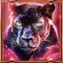 Entschlossener Panther