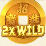 2x Wild-Schriftzug