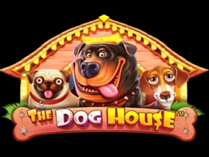 3 Hunde vor einer Hundehütte mit dem Schriftzug "The Dog House"