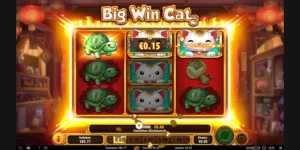 Gewinn mit 2x Wild-Symbol bei Big Win Cat