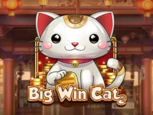 Big Win Cat Slot