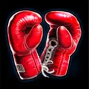 Symbol Handschuhe bei Knockout Wins