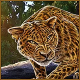 Der Leopard als Wild-Symbol