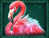 Symbol "Flamingo"