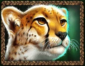 Symbol "Leopard"