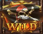 Piratenflagge mit Wild-Schriftzug