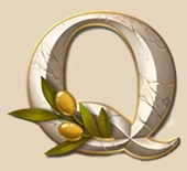 Symbol Q
