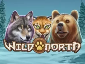 Der Wolf, der Luchs und der Bär aus dem Slot über dem Wild North Schriftzug.