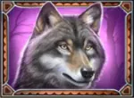 Wolf auf lila Hintergrund