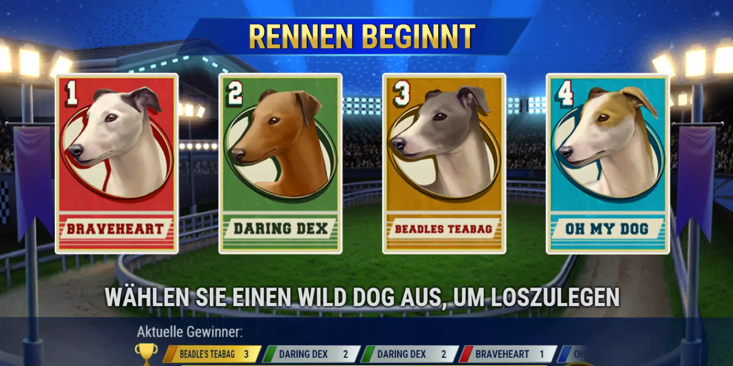 Der Spieler kann sich für einen der 4 Hunde entscheiden. 