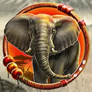 Symbol Elefant bei Hot Africa