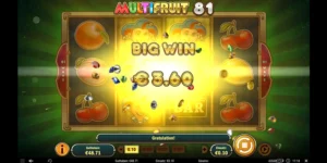 Big-Win bei Multifruit 81