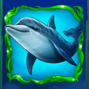 Symbol Delfin bei Pearl Lagoon