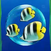Symbol Fisch gelbschwarz bei Pearl Lagoon