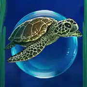 Symbol Schildkröte bei Pearl Lagoon