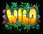 Wild-Symbol