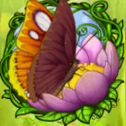 Schmetterling auf offener Blume