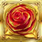 Rote Rose mit goldenem Hintergrund