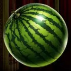 Saftige Melone
