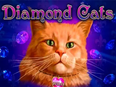 Eine Katze unter dem Diamond Cats Schriftzug.