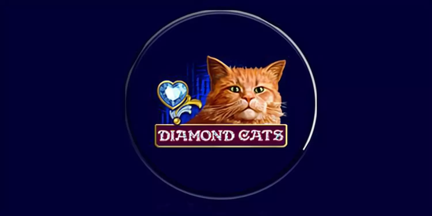 Eine Katze mit dem Diamond Cats Schriftzug 
