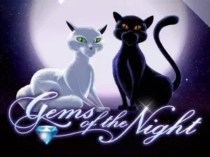 2 Katzen in der Nacht über dem Gems of the Night Schriftzug