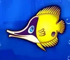 Gelber Fisch mit lila Kopf
