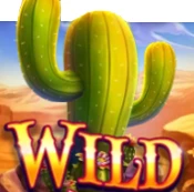 Kaktus (Wild-Symbol)