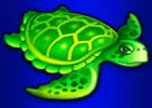 Grüne Schildkröte