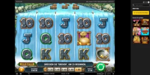 Der Startbildschirm des 5x3 Slots "Wild Falls"
